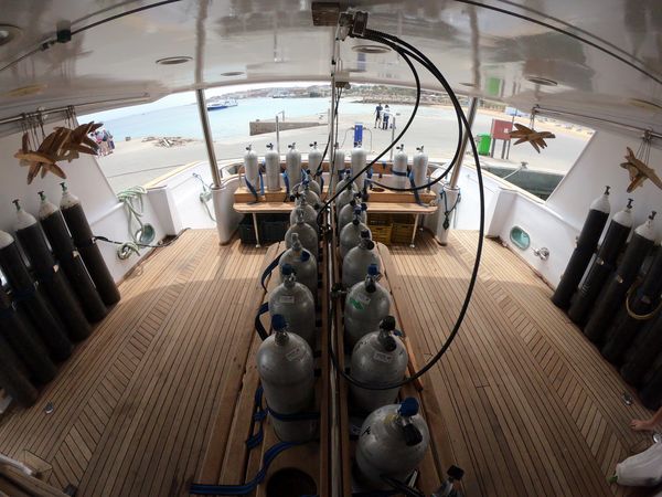 Custom Built 34 | Sunlight