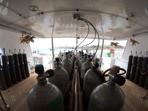 Custom Built 34 | Sunlight