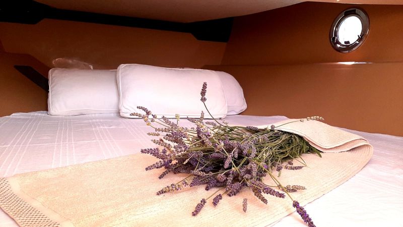 Sessa Key Largo 24 | Panika