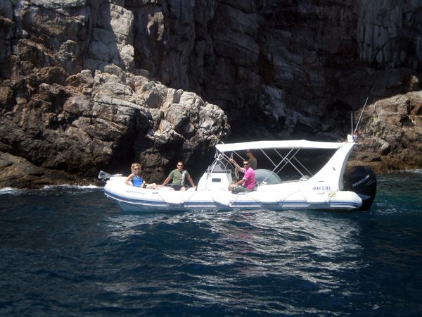 Zodiac Medline III | Medline