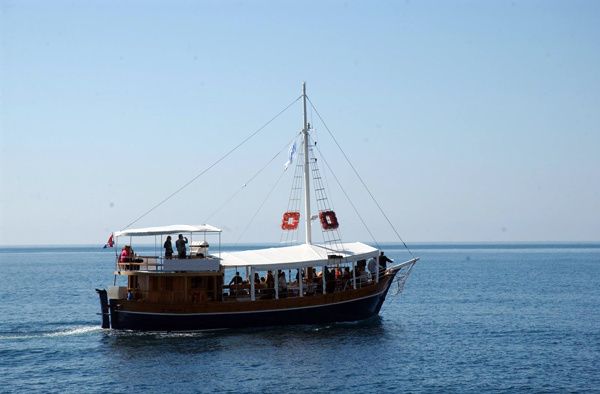 Custom Built 68 | Vedrana