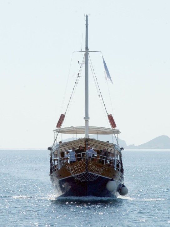 Custom Built 68 | Vedrana