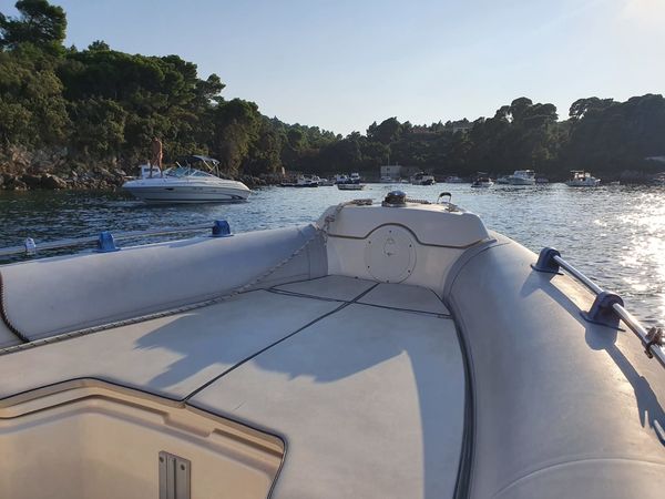 Marlin 20 | Baby Hulk