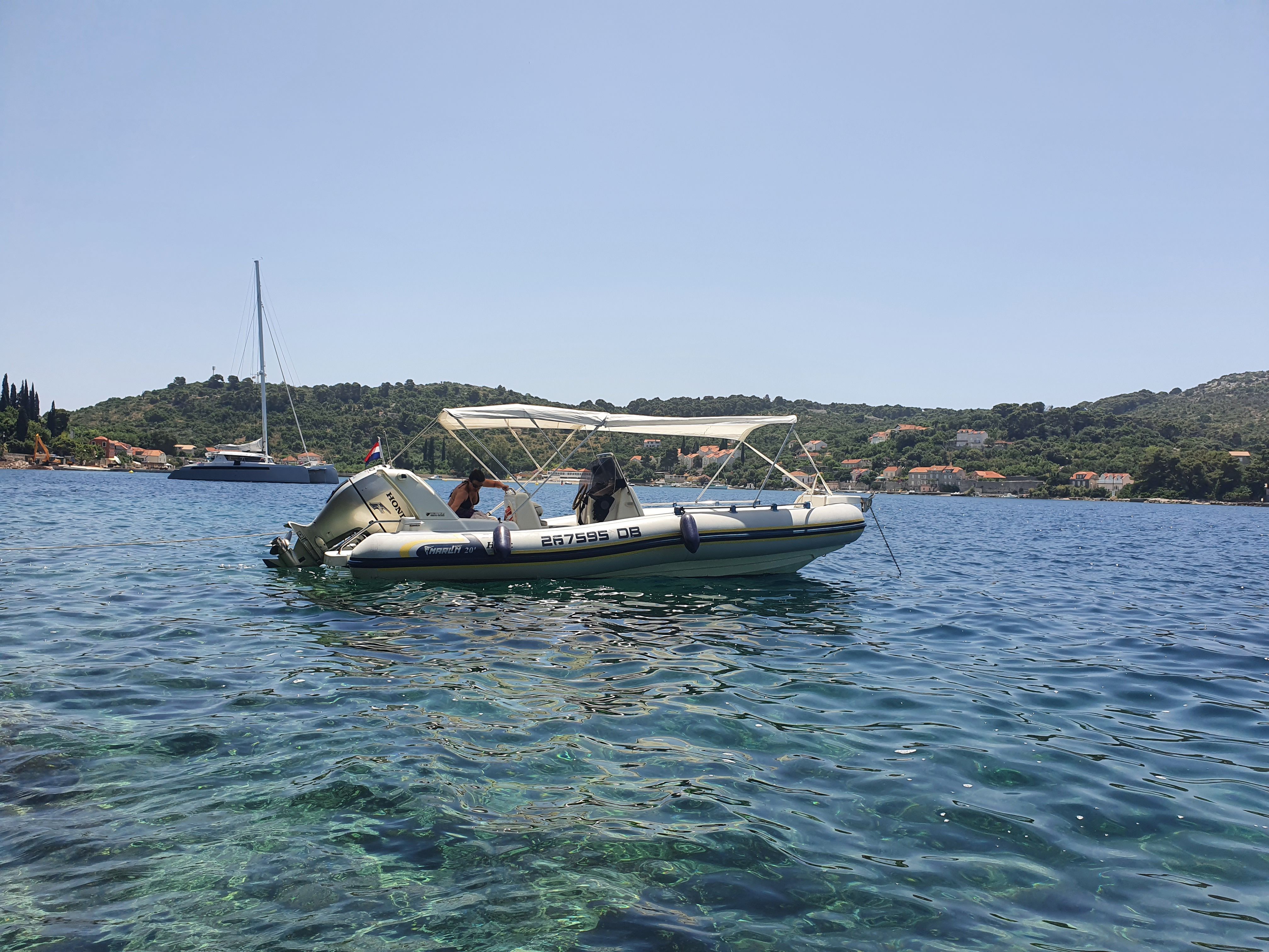 Marlin 20 | Baby Hulk