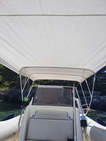 Marlin 20 | Baby Hulk