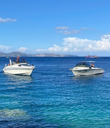 Cranchi 31 | Anastasia