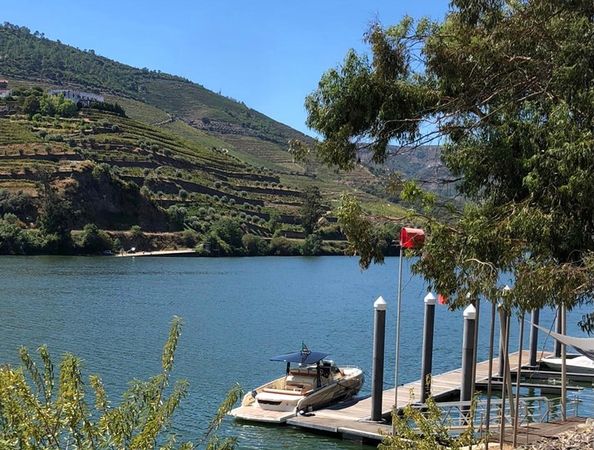 Invictus GT 370 | Invictus Cruises