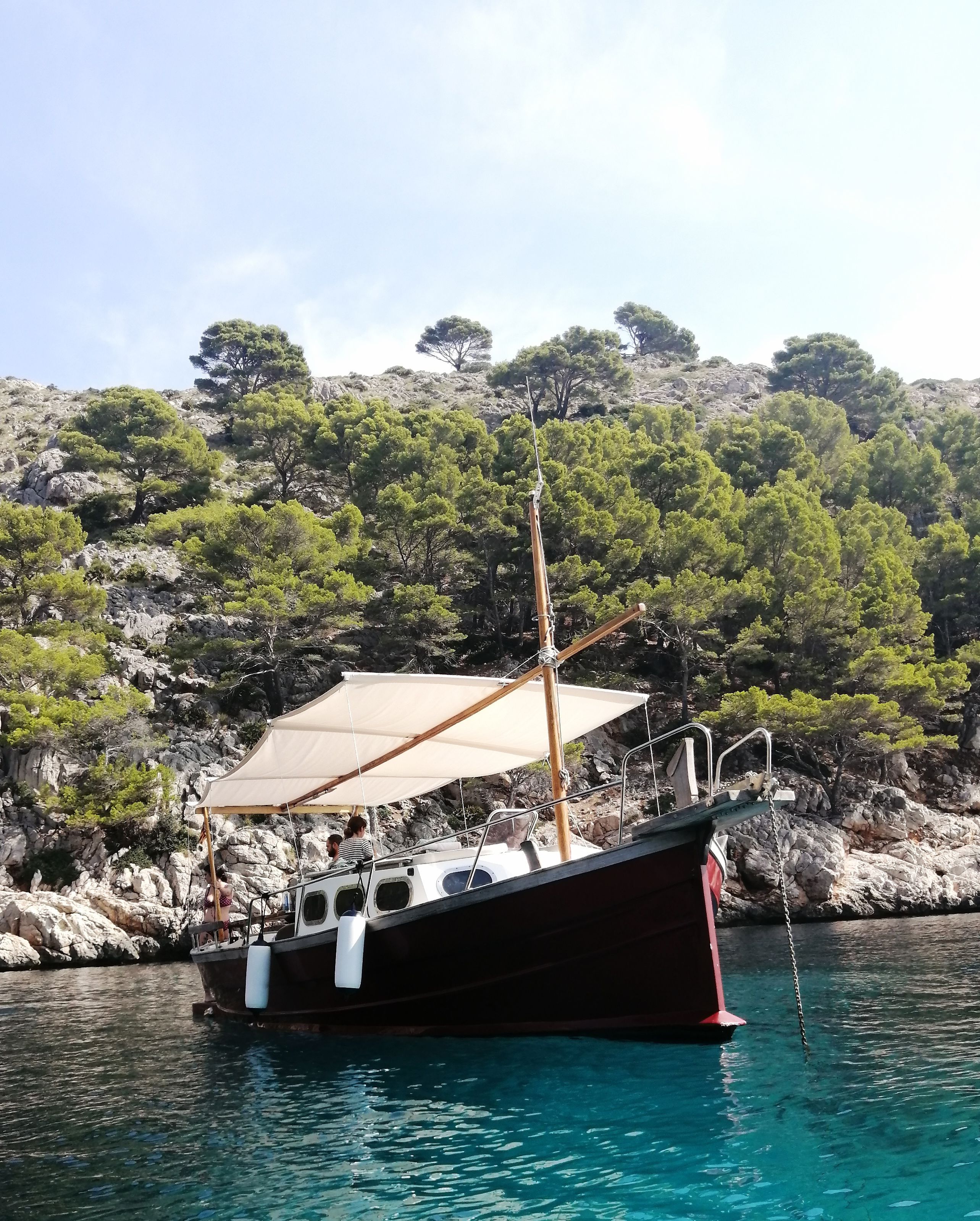 Capeador Saura 40 | Picard