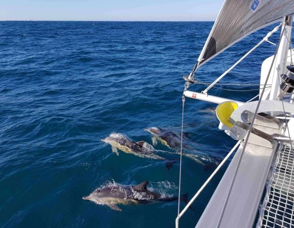 Lagoon 42 | Rosa Dei Venti