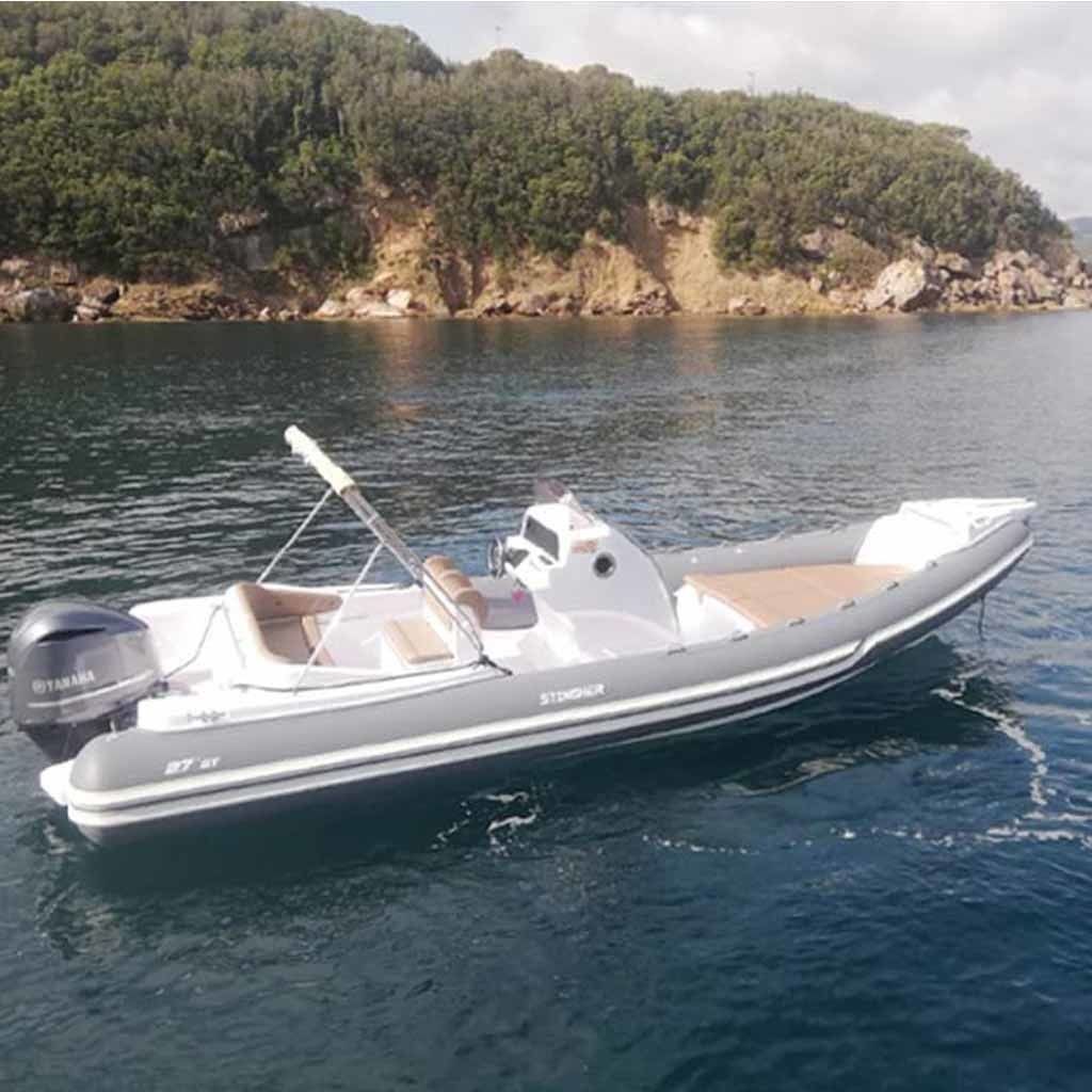 Stingher 27 | Stinger