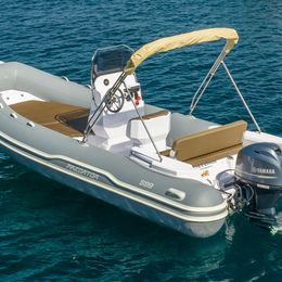 Predator 599 | Predator