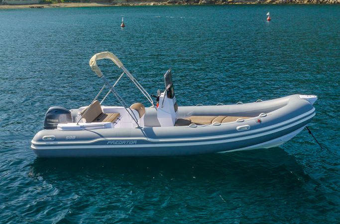 Predator 599 | Predator