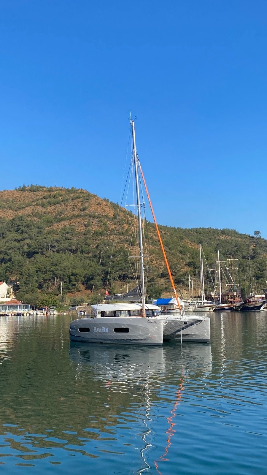 Excess 11 | Carmelina