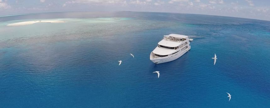 Custom Built 122 | Adora