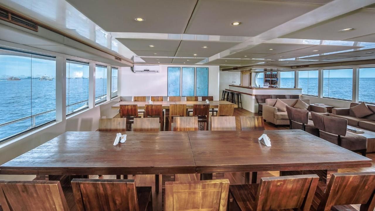 Custom Built 122 | Adora