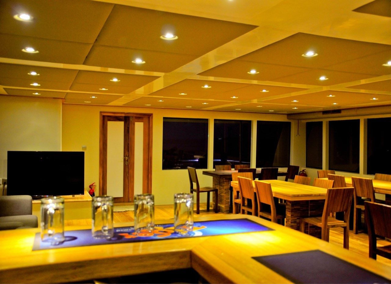 Custom Built 122 | Adora