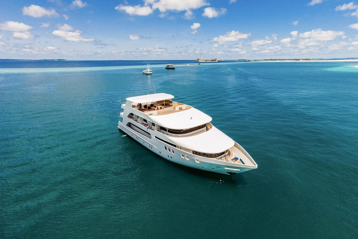 Custom Built 122 | Adora