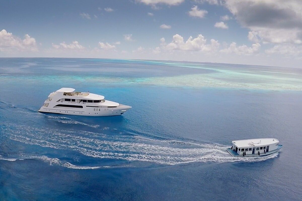 Custom Built 122 | Adora