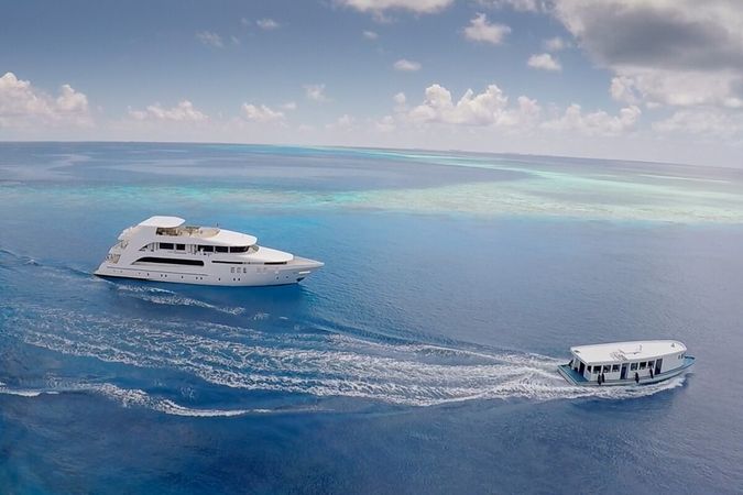 Custom Built 122 | Adora