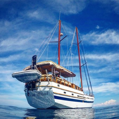 Custom Built 59 | Dream Island