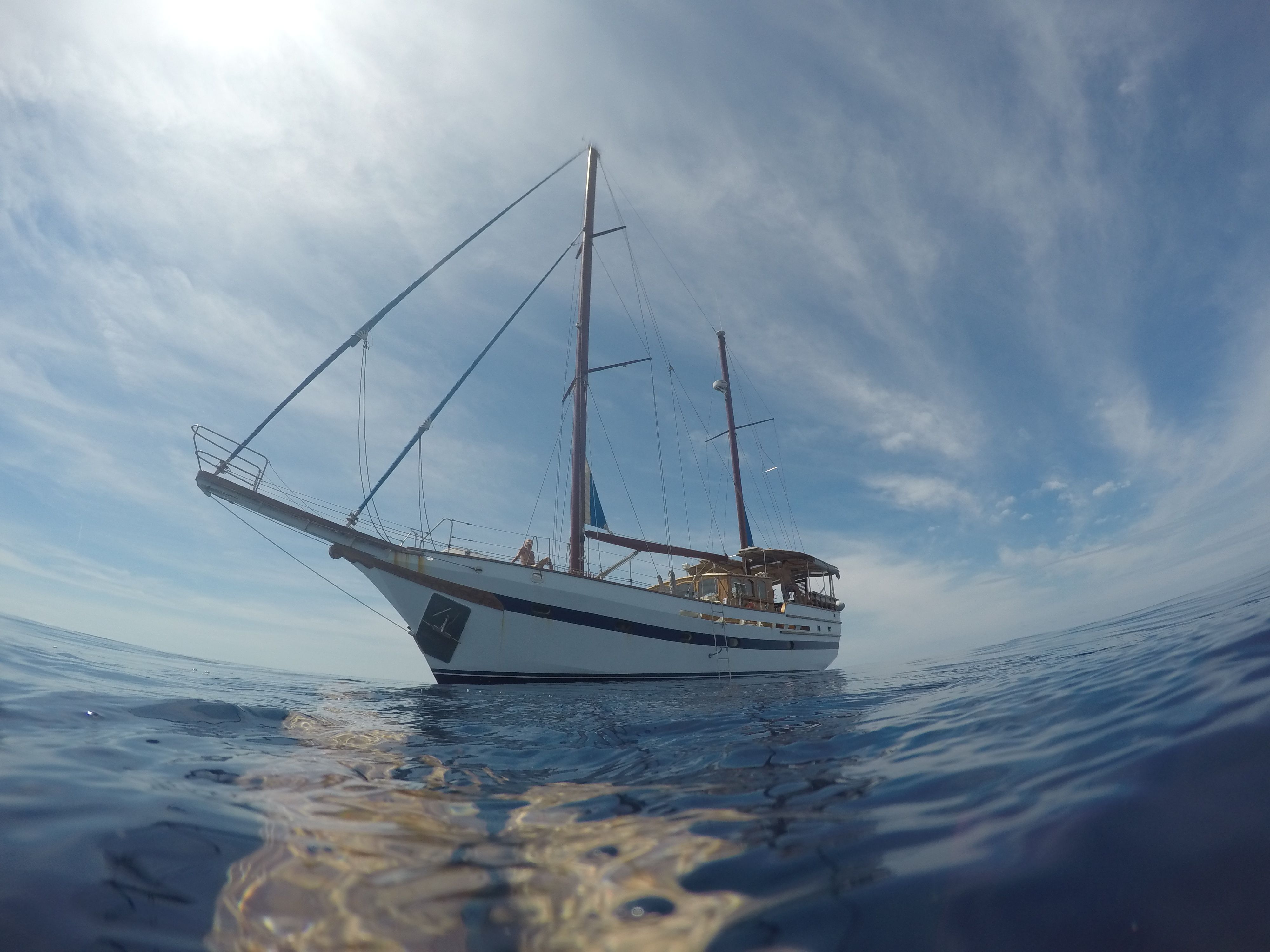 Custom Built 59 | Dream Island