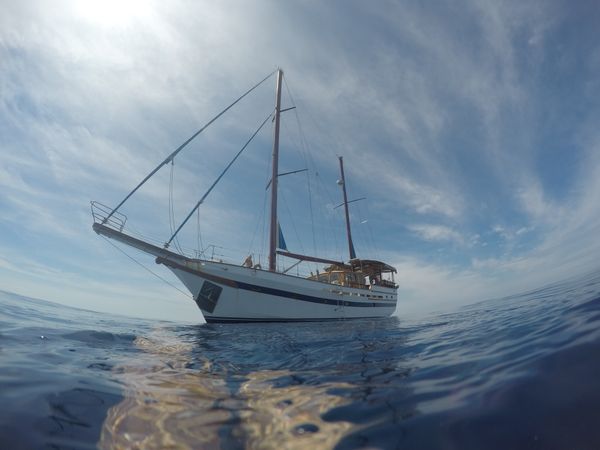 Custom Built 59 | Dream Island