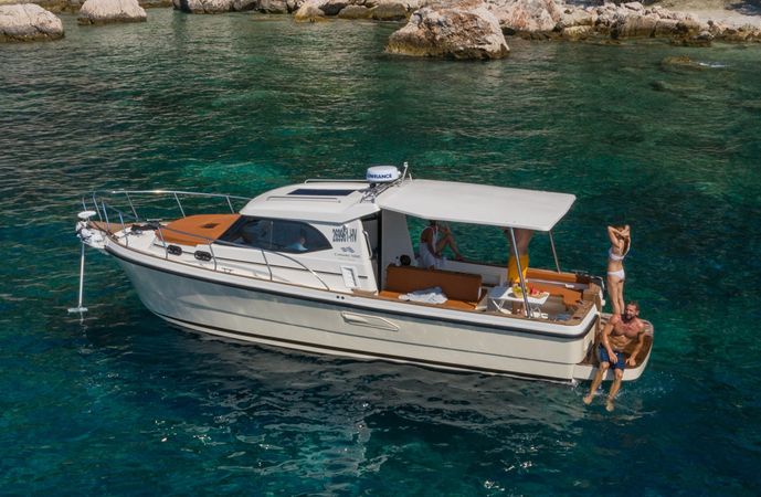 Camaro 1000 | Camaro