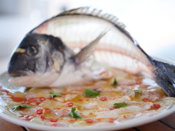 Fountaine Pajot Alegria 67 | Kimata