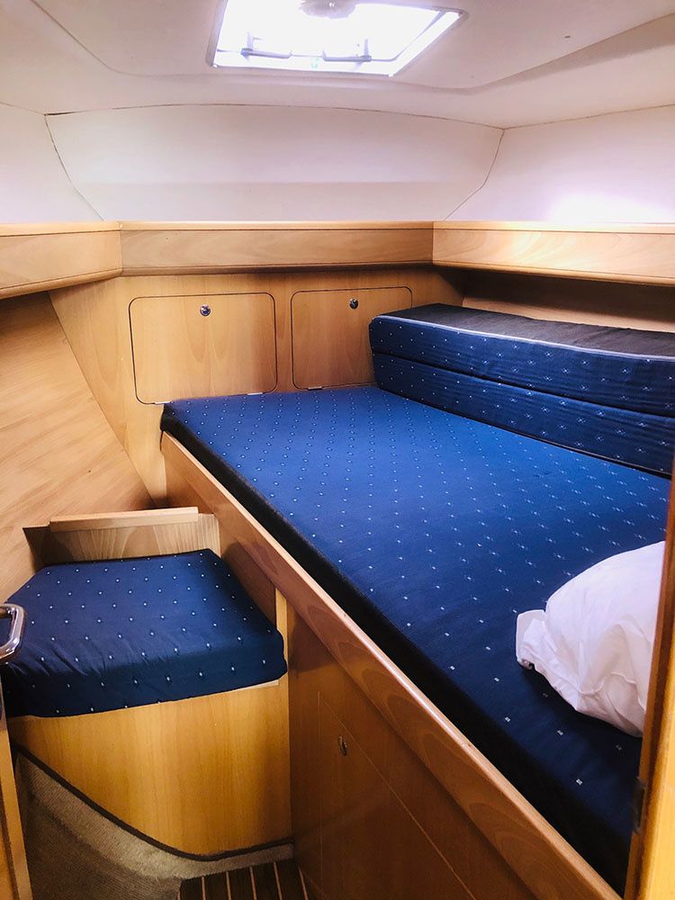 Feeling 39 | Bagasse