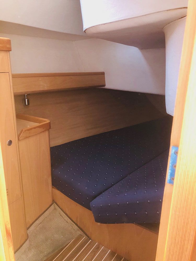 Feeling 39 | Bagasse