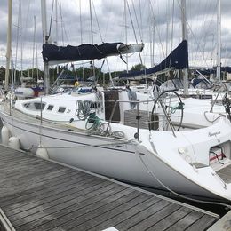 Feeling 39 | Bagasse