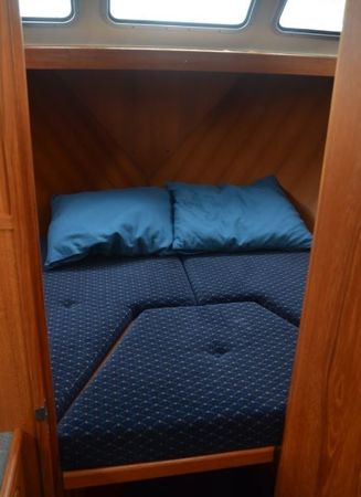 Pedro Skiron 35 | The Bee