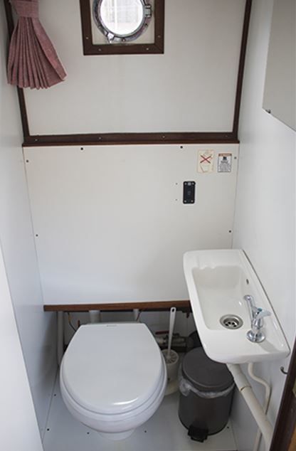 Duet Cruiser 1300 | Elevation