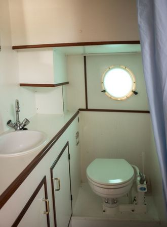 Kormoran 1260 | Fischreiher