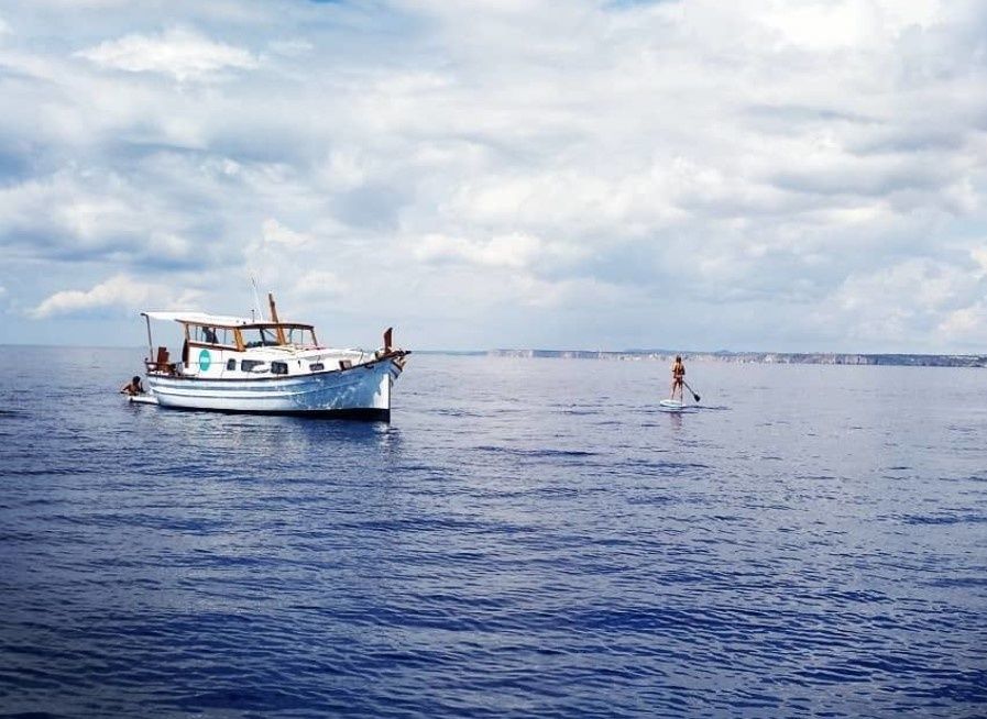 Capeador 10 | Binifabini