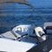 Beneteau Flyer 7.7 | Spacedeck