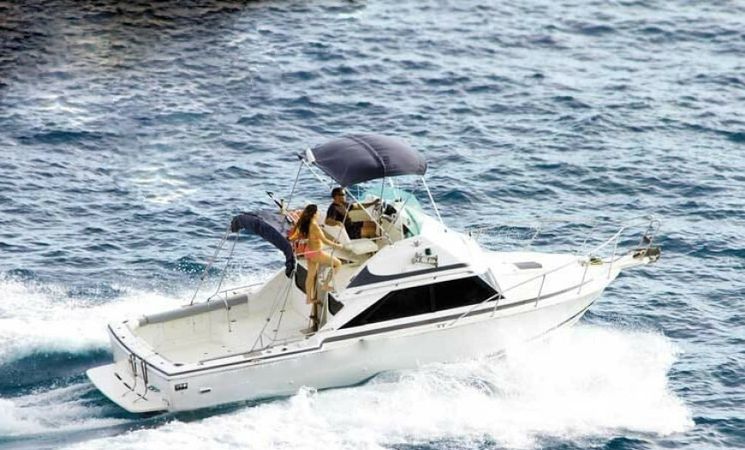 Bertram 28 Flybridge | Sea Passion