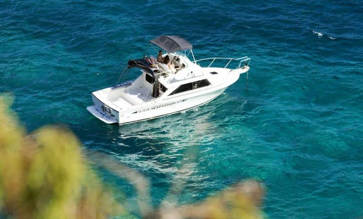 Bertram 28 Flybridge | Sea Passion