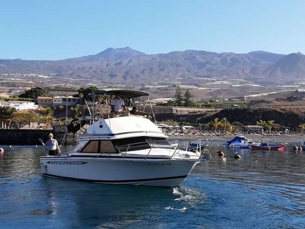 Bertram 28 Flybridge | Sea Passion