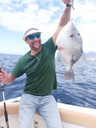 Bertram 28 Flybridge | Sea Passion