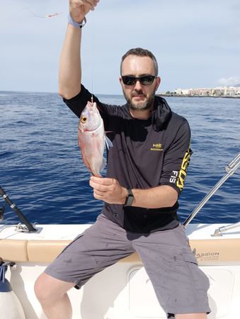 Bertram 28 Flybridge | Sea Passion