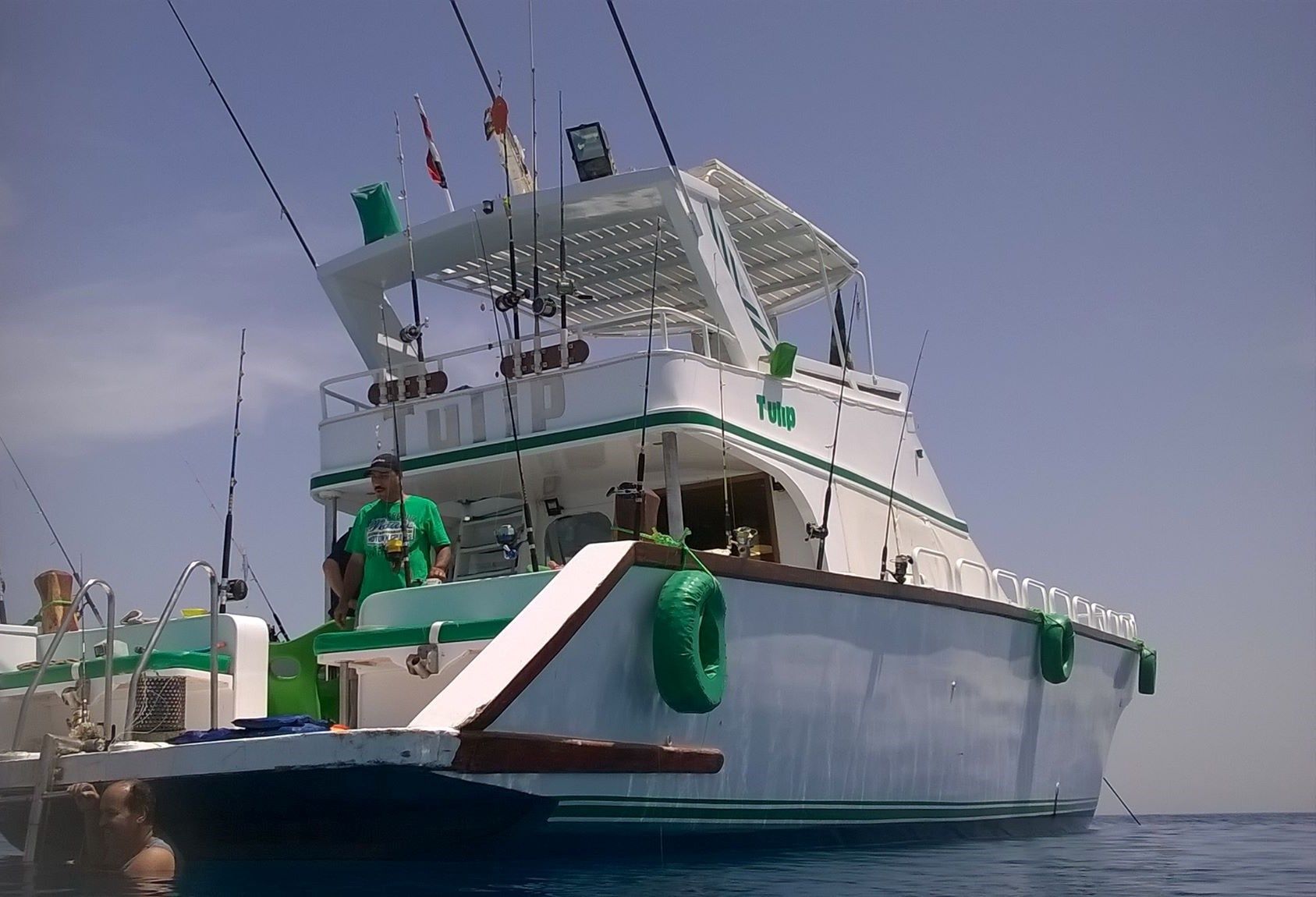 Rashid Shipyard | Tulip