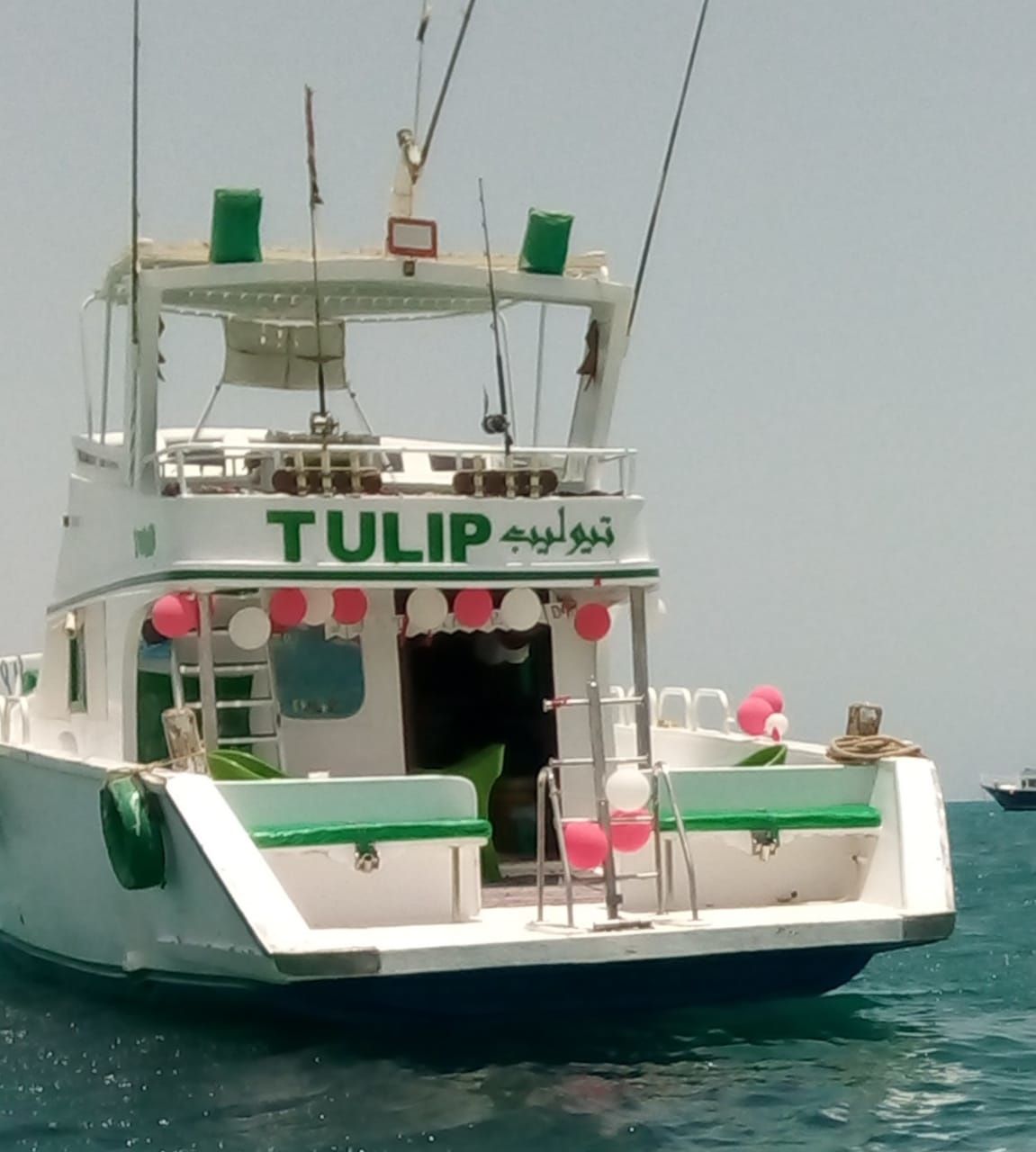 Rashid Shipyard | Tulip