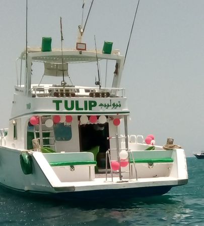Rashid Shipyard | Tulip