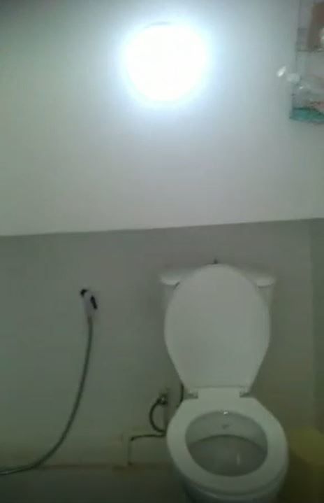 Rashid Shipyard | Tulip