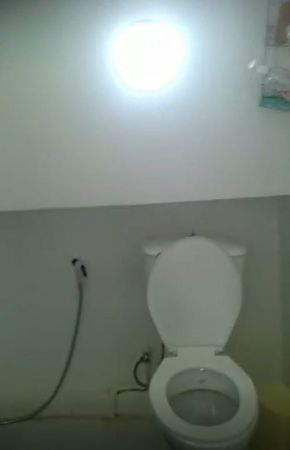 Rashid Shipyard | Tulip