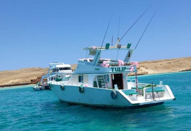 Rashid Shipyard | Tulip