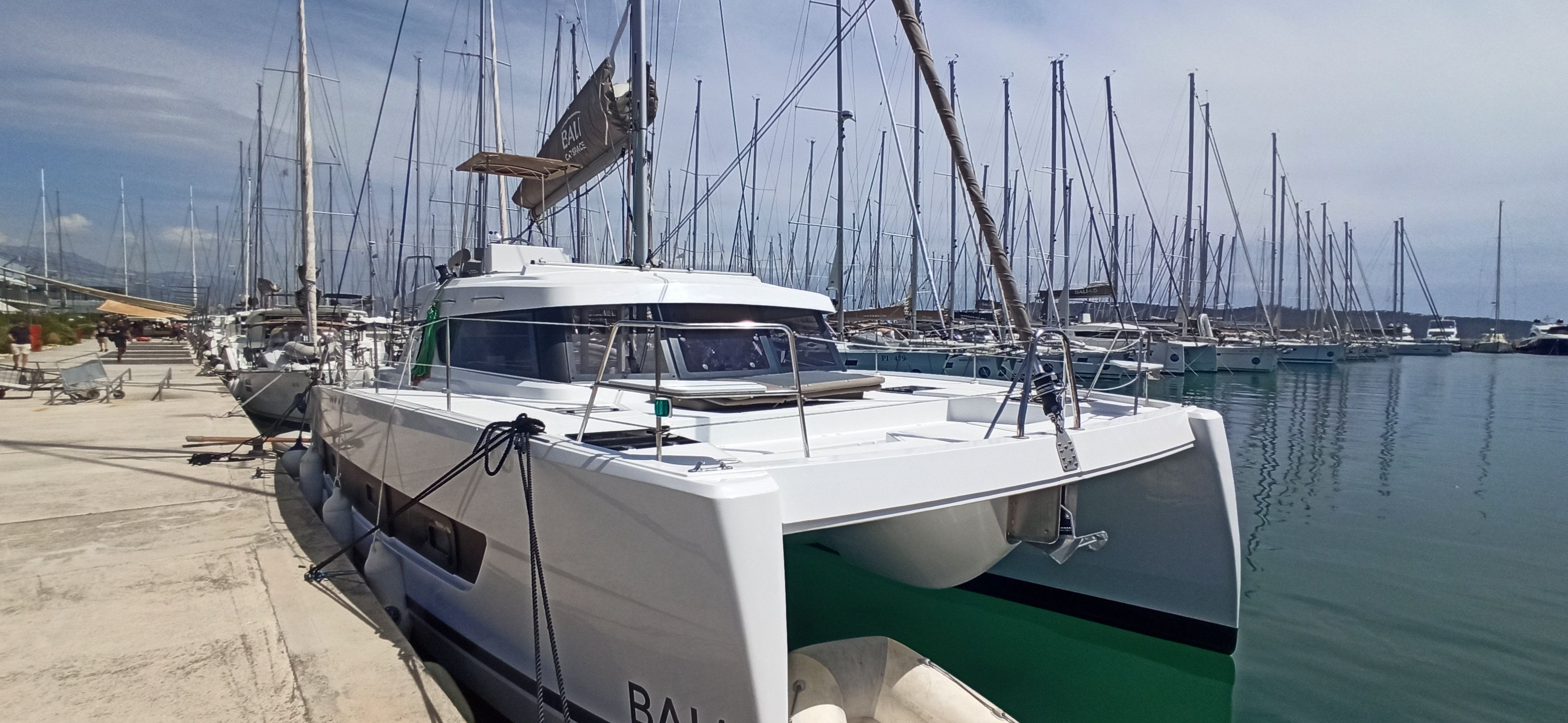 Bali Catspace | Meme