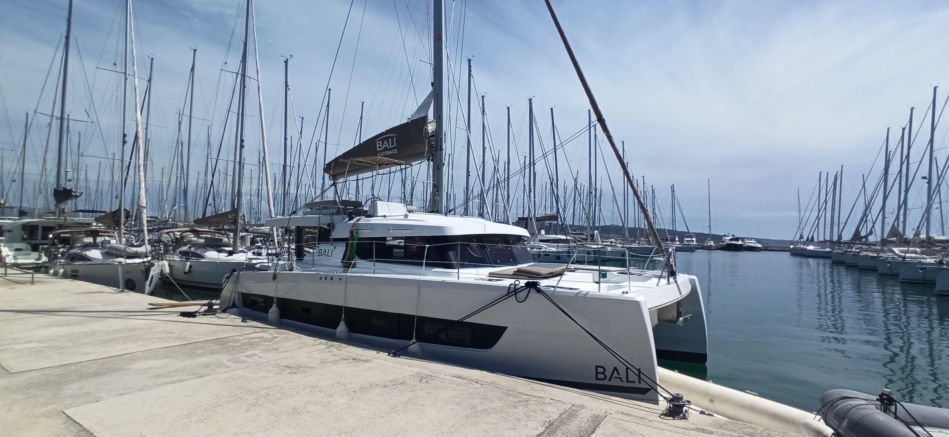 Bali Catspace | Meme