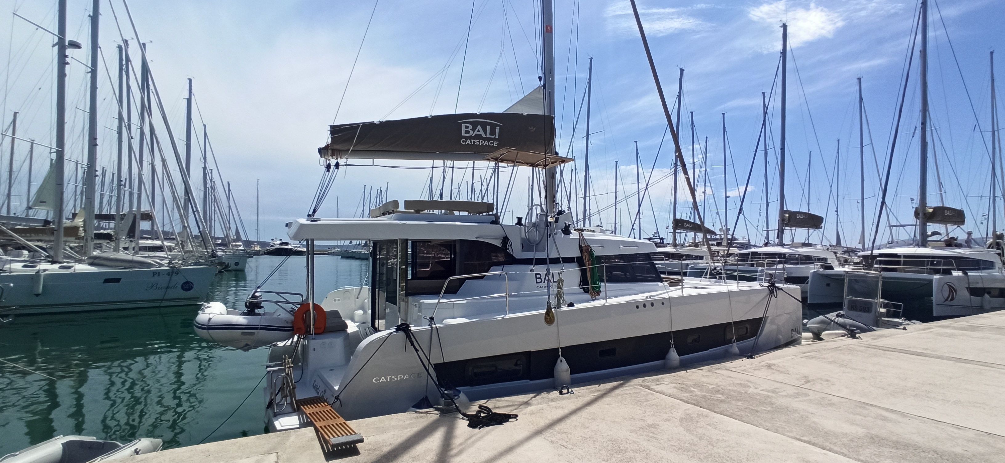 Bali Catspace | Meme